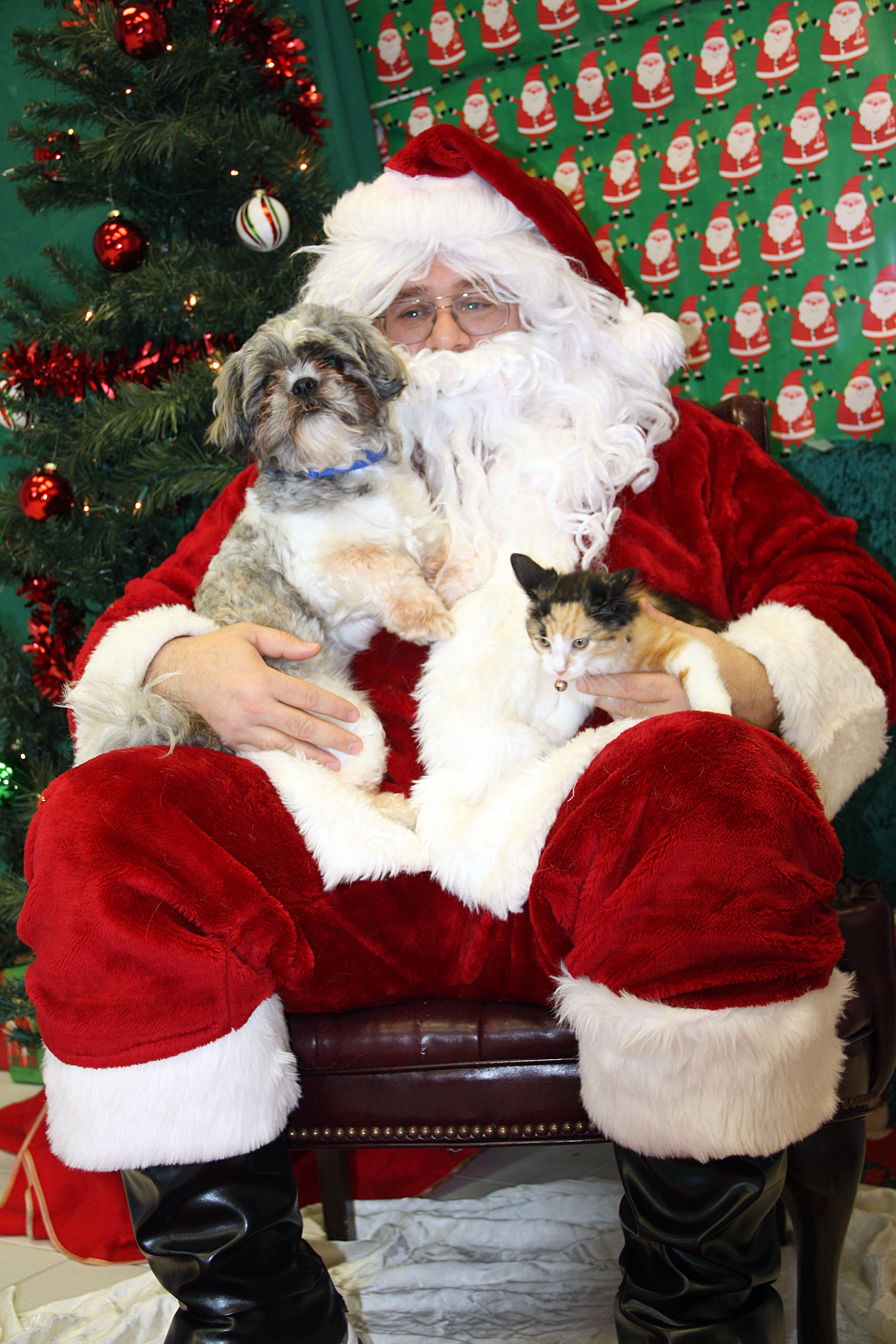 Santa with pet pictures Santa with pet pictures
