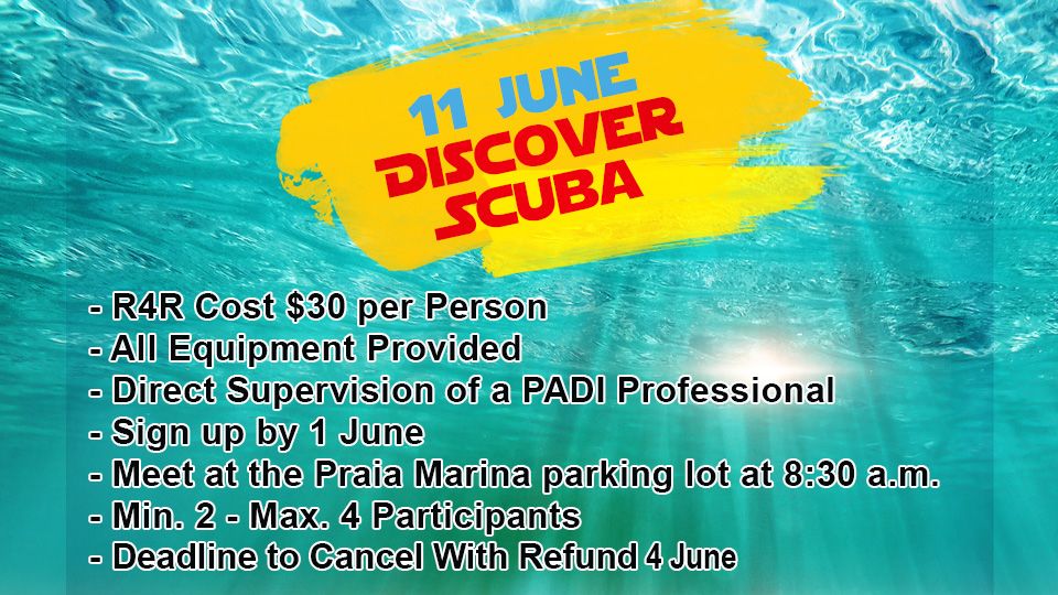 Discover Scuba 11 June