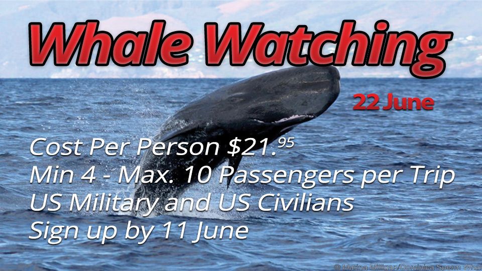 Whale Watching June